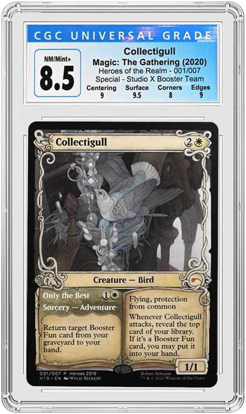 Collectigull TB20211123121639865.png