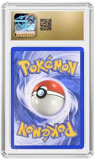 Charizard_BK_tb20260708191156539.png