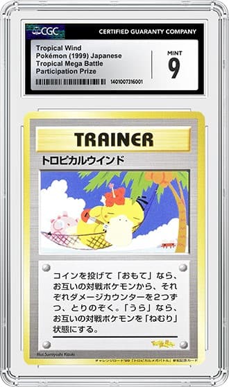 TropicalWind_fr_tb20240823123921374.png