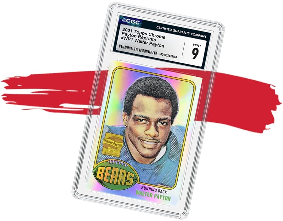 Payton Draft20260226104601532.png