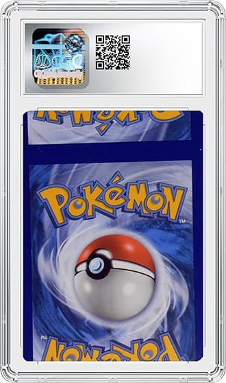 Crabrawler_bk_tb20241015093429684.png