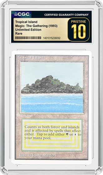Tropical Island p10_FR_tb20251210101523143.png
