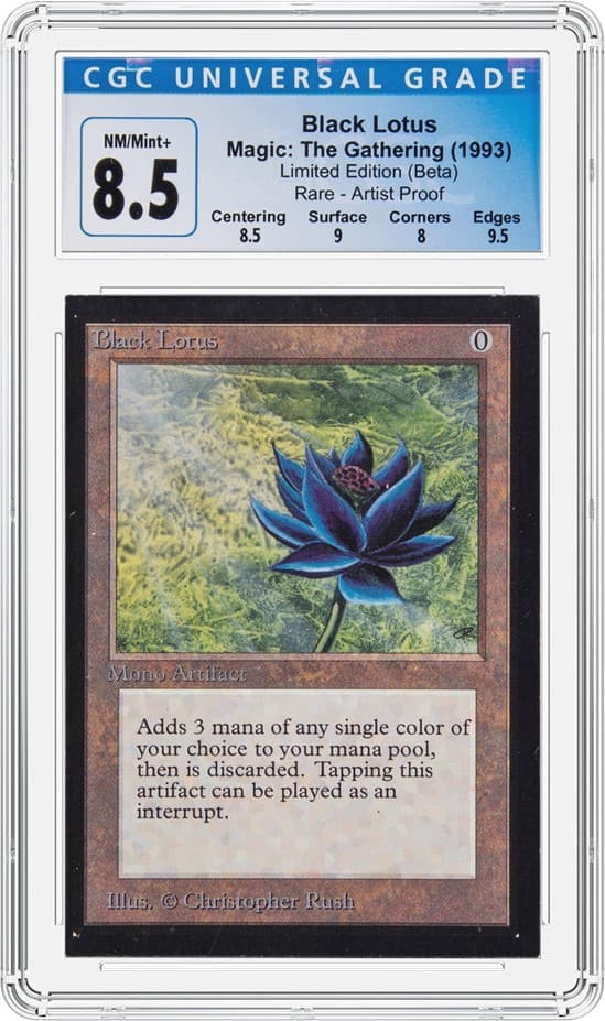 0323_Lotus_AP_85_BK20230323150820150.png