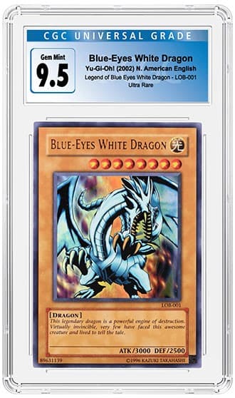 BlueEyes_FR_tb20230419142452021.jpg