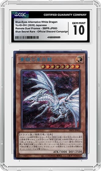 BlueEyes_FR_tb20230830151300336.png