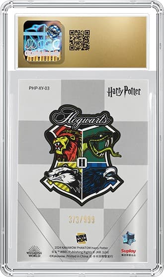 Hermione_bk_tb20250307111540648.png