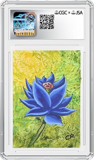 BlackLotus_BK_tb20240805124811493.png