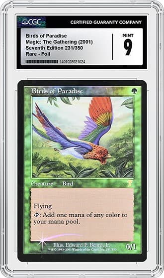 BirdsofParadise_FR_tb20250304094327702.png