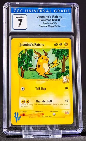 Raichu_TB20210713115120943.jpg
