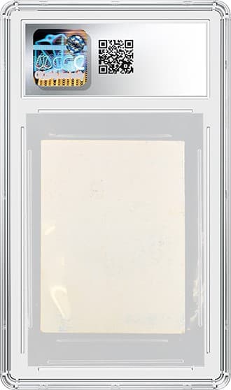 MoxPearl_BK_tb20230811153559902.png