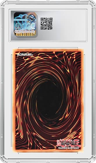 Wynn_BK_tb20250429155340369.png