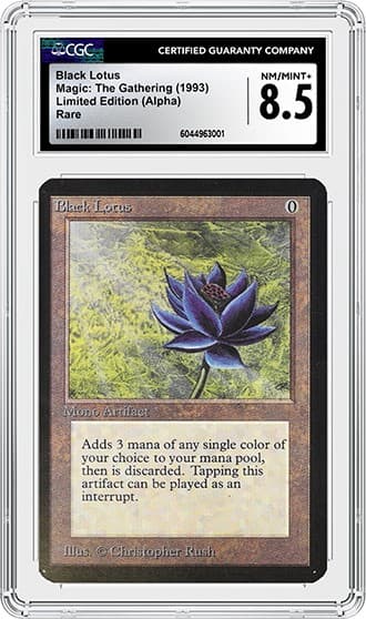 Black Lotus_FR_tb20250609123723833.png