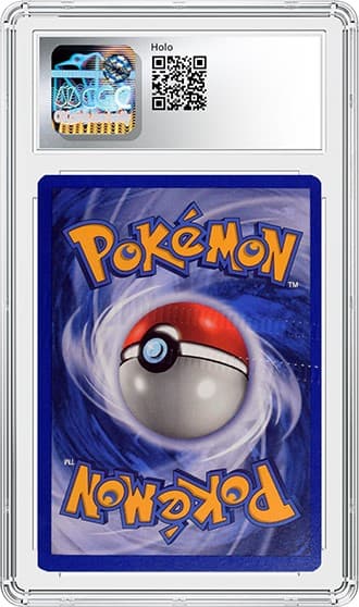 Machamp_bk_tb20241111104003403.png