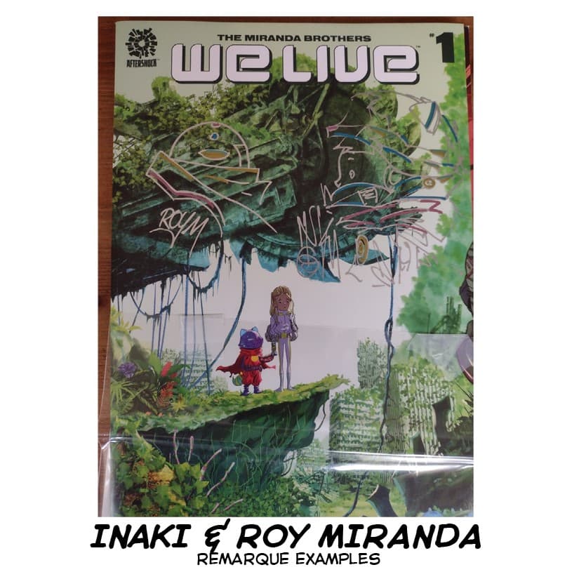 MIRANDA-REMARQUE EXAMPLE20220303150053191.png