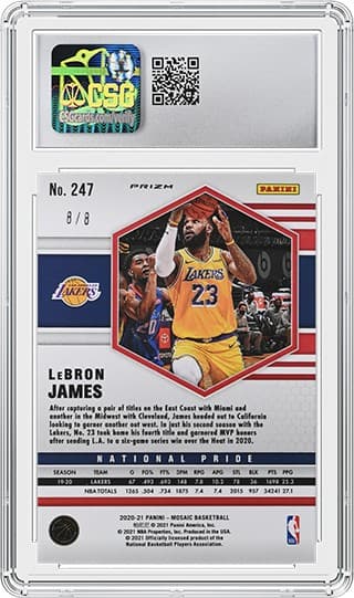 LebronJames_1024546002_Mosaic_REV_tb20230216235747222.jpg