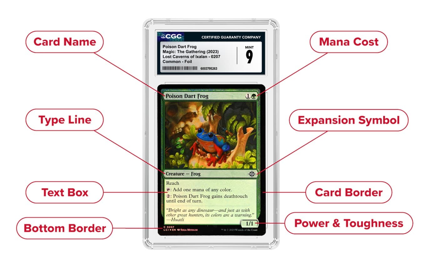 PR26-1007_CGCCards_ArticleImage_MTGCardBreakdown_Raeann_v120260505202014959.png