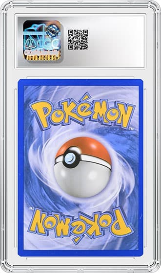 No 1 Trainer_BK_tb20250815110633675.png