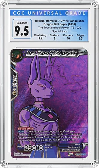 Beerus_FR_tb20230221143828332.jpg