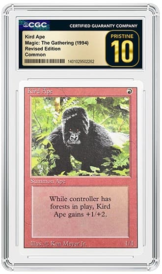 Kird Ape_FR_tb20260722193127355.png