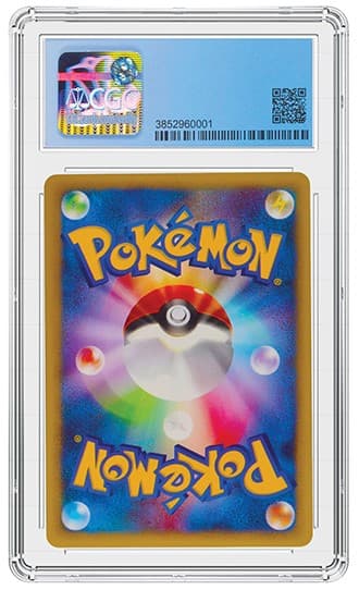 CGC3852960-001_REV_TB20210713135119801.png
