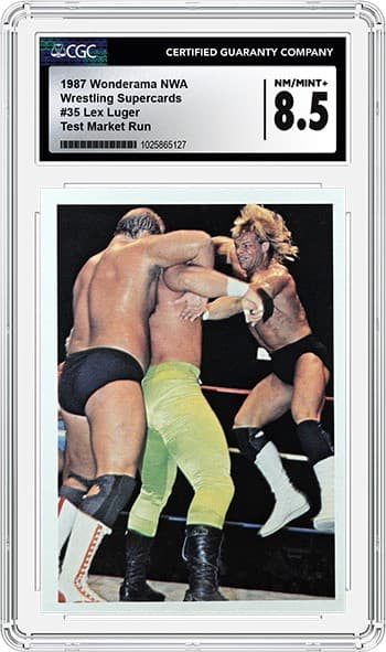 Lex Luger 8.5_1025865127_tb20240906154551119.png