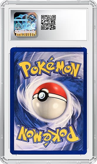 Charizard_BK_tb20240205152246521.png
