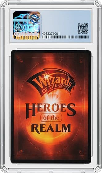 Euroakus_Magic 2020_4082371001_OBV_tb20221026091939158.jpg