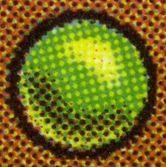 GreenDotGen_FR_tb20231205112815734.jpg