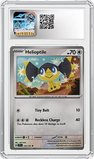 Helioptile_BK_tb20250815150805334.png