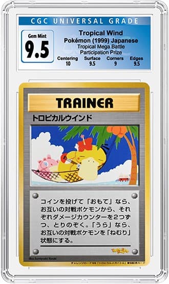 TropicalWind_FR_tb20230510145535749.png