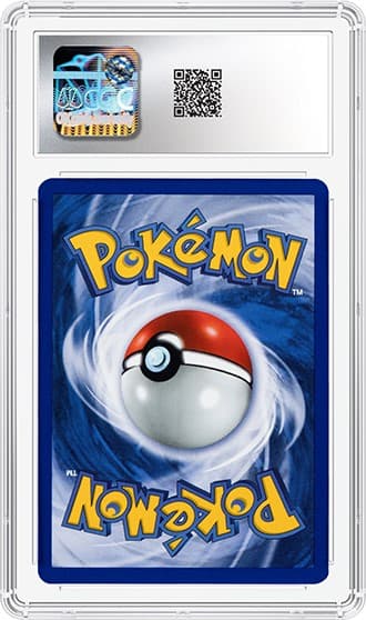 Charizard_bk_tb20240508133828593.png