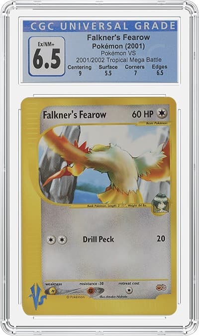Falkner_fr TB20211027100510812.png