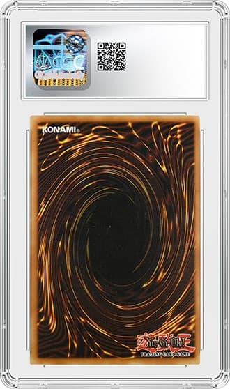 Taro_bk_tb20250407091043137.png