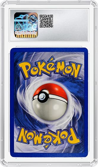 Raichu_8_REV_tb20231030120733738.png