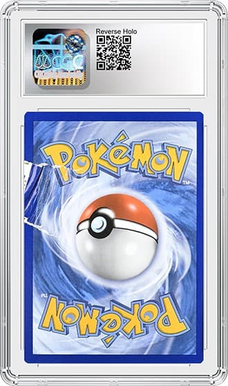 Joltik_BK_tb20250725115856565.png