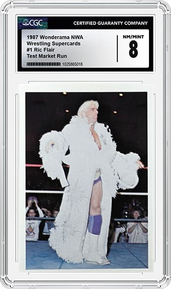 Ric Flair 8_1025865018_OBV_tb20240906151709199.png