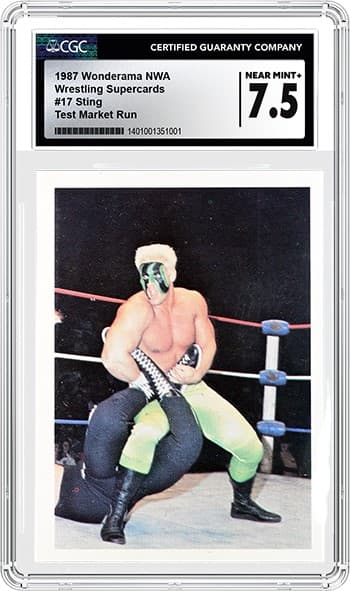 Sting 7.5_1401001351001_tb20240906154444645.png