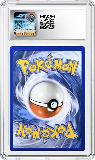 Zamazenta_Bk_tb20241111095934682.png